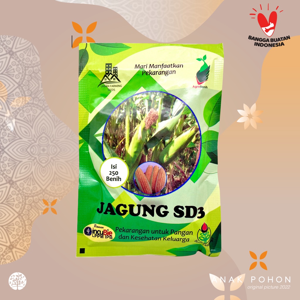 (1 PACK) Benih Jagung Manis SD3 IPB Retail Pack - 250 SEEDS