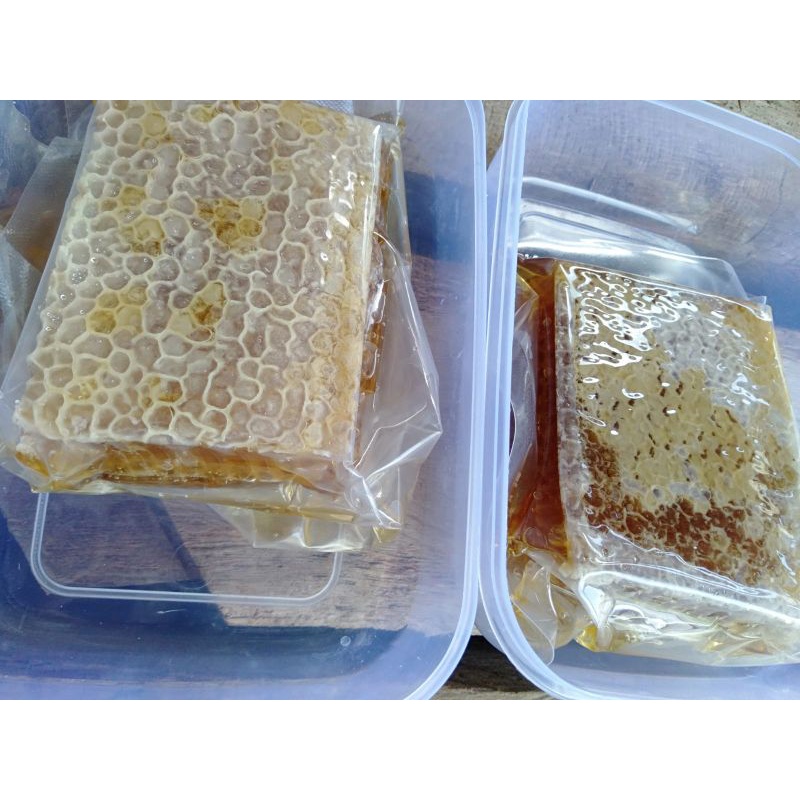 

madu sarang asli