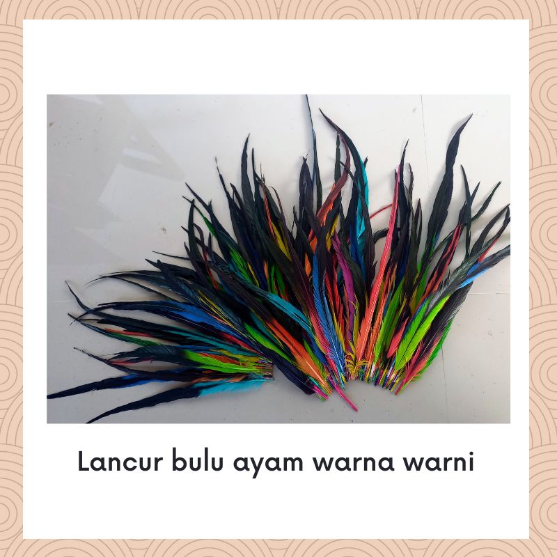 Lancur bulu ayam warna warni panjang 30- 40 cm sangat cocok untuk membuat kerajinan tangan.