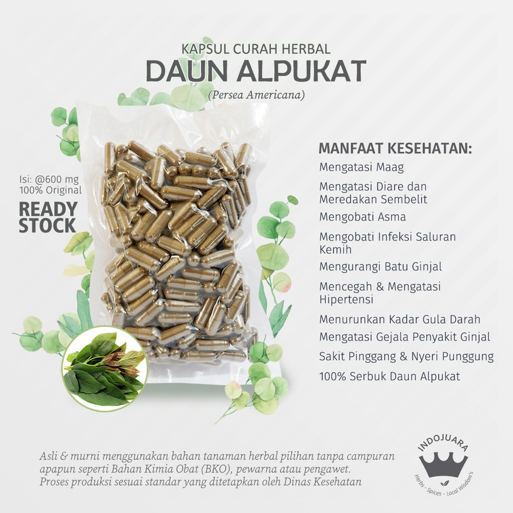 

DAUN ALPUKAT 200 Kapsul Curah Herbal Asma Batu Ginjal Diabetes Lambung Anti Aging Asam Urat Asma