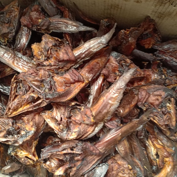 

IKAN SALE ( LELE ASAP )