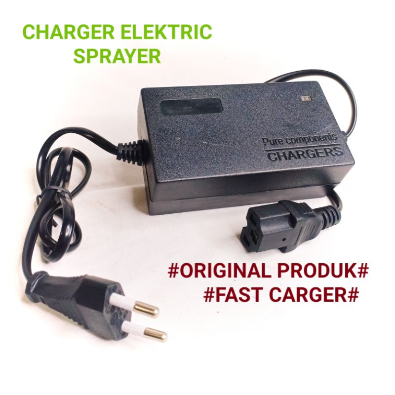 Charge Sprayer Elektrik 12v-semprot-semprotan-cas aki-accu hama-Charger