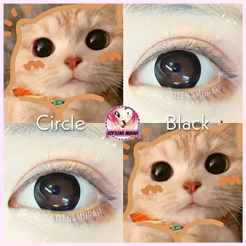 Circle black / choco / mini circle  softlens 14.5mm / 15mm/ 16mm