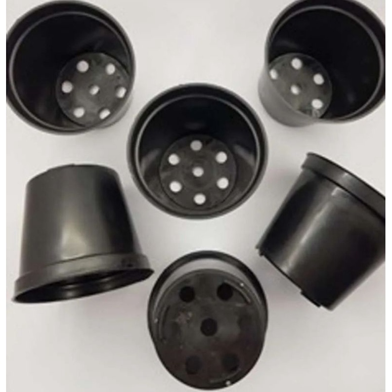 Pot Plastik Hitam Ukuran 8 cm