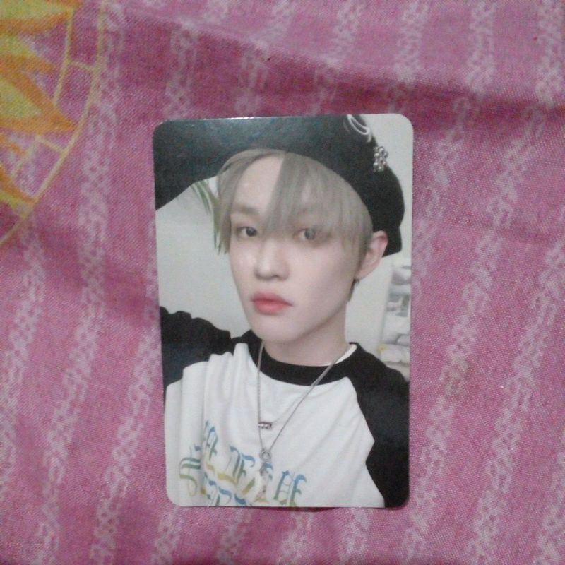 Photocard official Chenle Hot Sauce