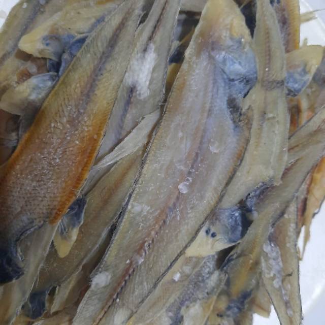 

Ikan lidah