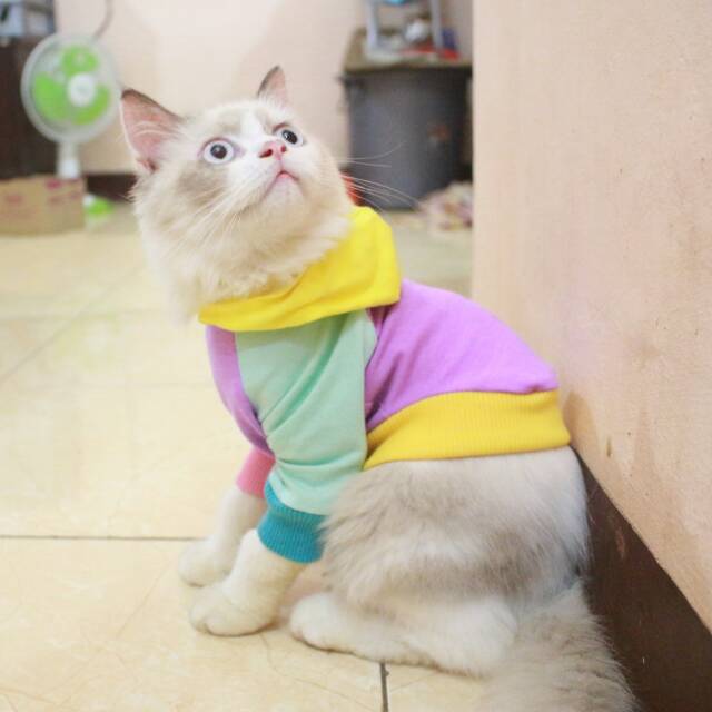 Kaos Jumper hoodie rainbow original murah meriah / baju kucing anjing size S M L XL (pilih satu)