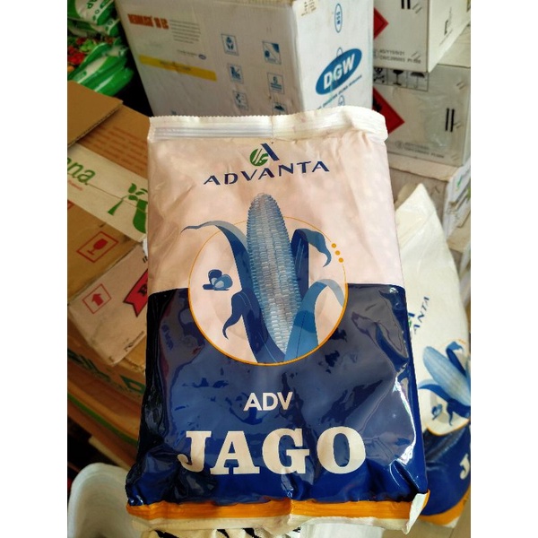 benih jagung ADV JAGO