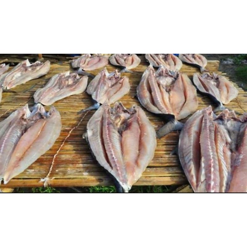 

ikan asin asli mentawai