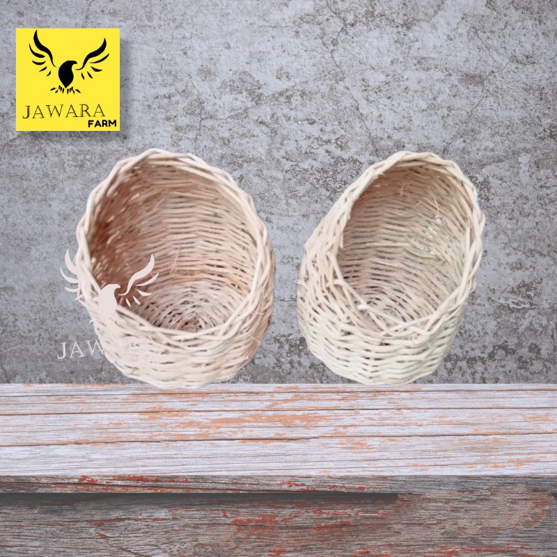 Gowok Sarang Rotan Burung Finch Blackthroat