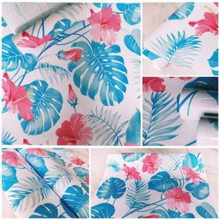 Wallpaper Sticker DAUN MONSTERA Dekorasi Rumah  