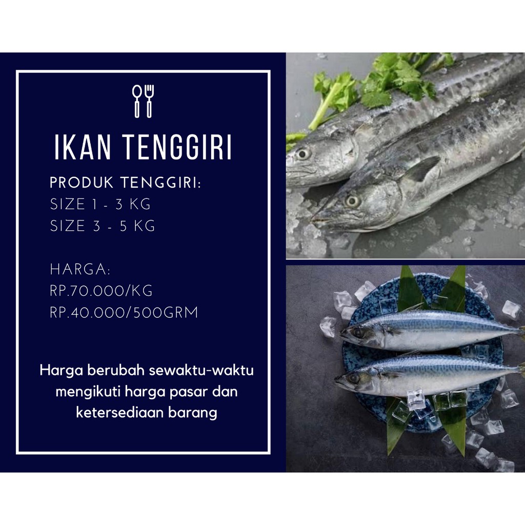 

IKAN TENGGIRI