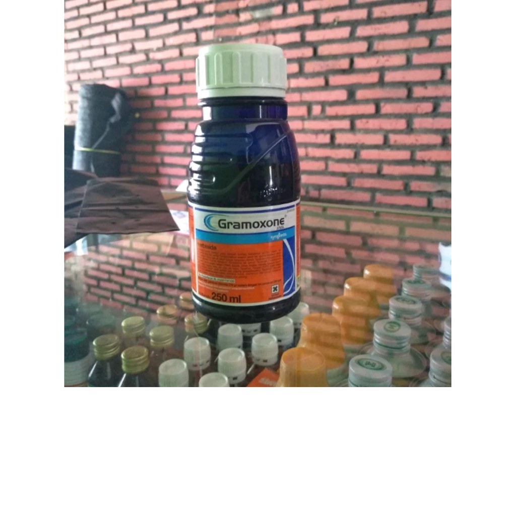 Gramoxone 250 ml Herbisida Rumput Liar Herbisida Gulma Rumput
