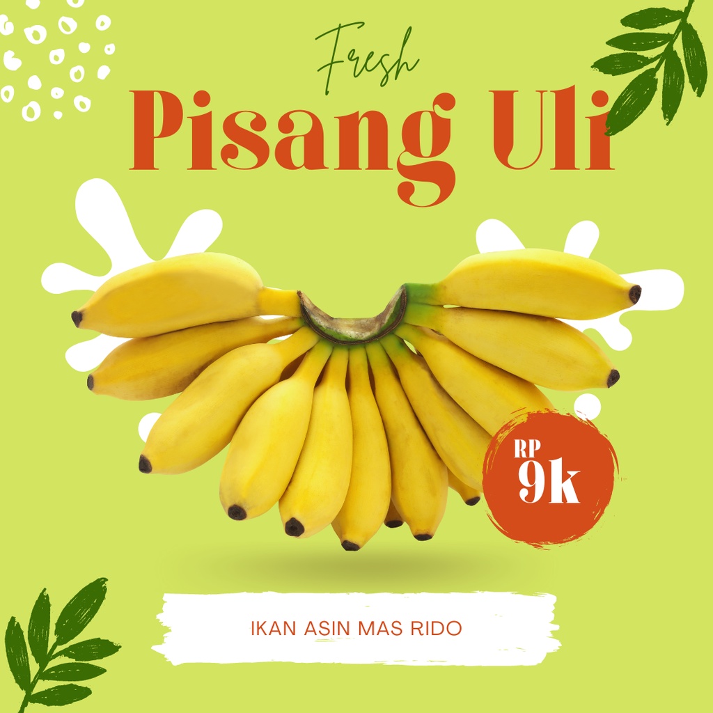 

Pisang Uli Matang Mengkel Segar Pisang Uli Manis Untuk Pisang Goreng