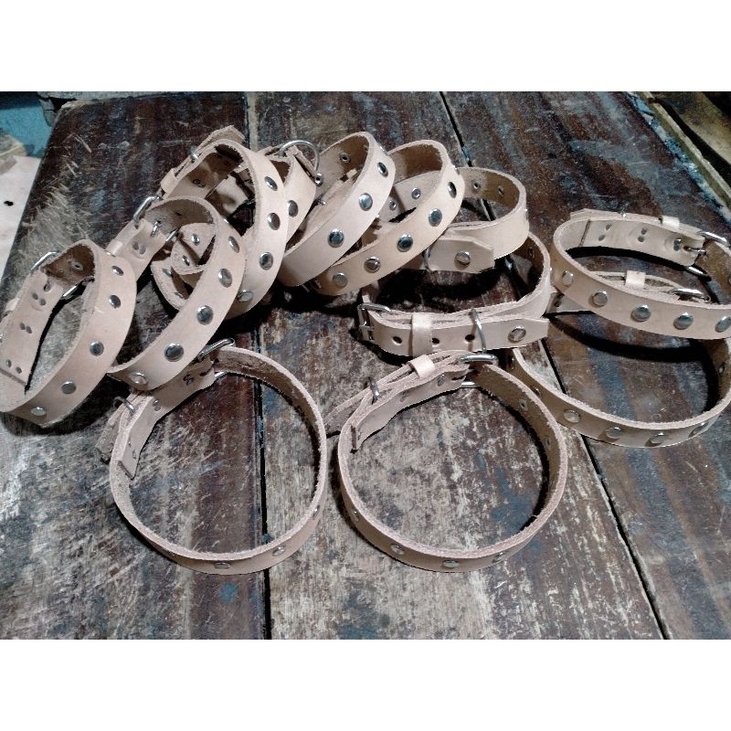 kalung anakan anjing
