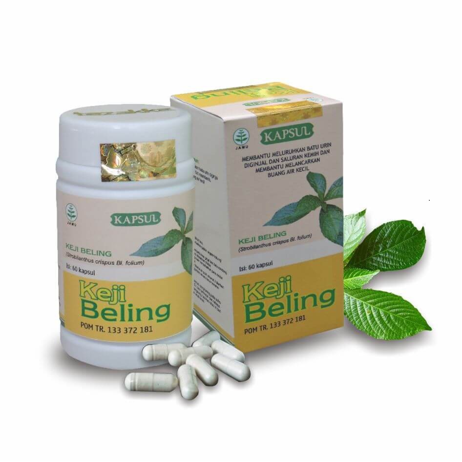 Jual Keji Beling Obat Batu Ginjal Tazzaka Isi 60 Kapsul Batu Ginjal ...