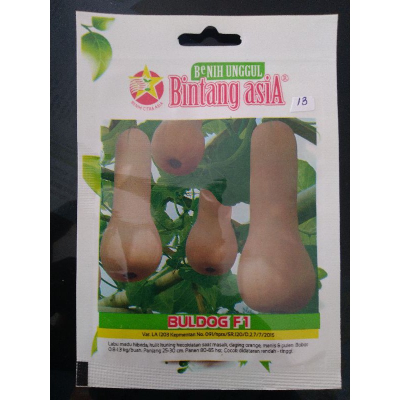 Benih Labu Madu Buldog F1 cap bintang asia