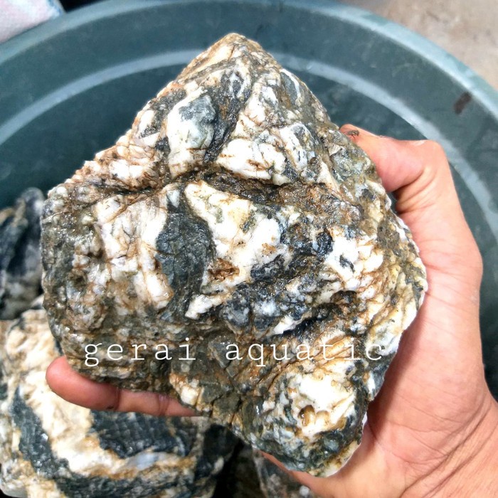 1karung batu lintang batu aquascape aquarium