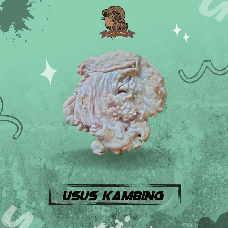 

usus kambing fresh