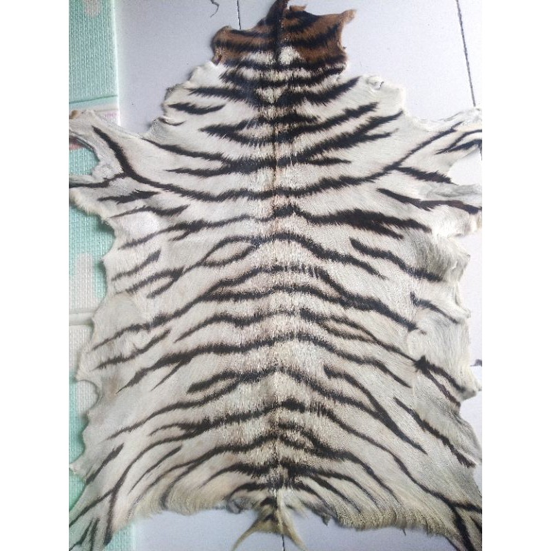 kulit kambing motif harimau loreng putih macan Tiger bahan tas, sofa