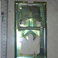 Perangkap tikus Penjepit tikus