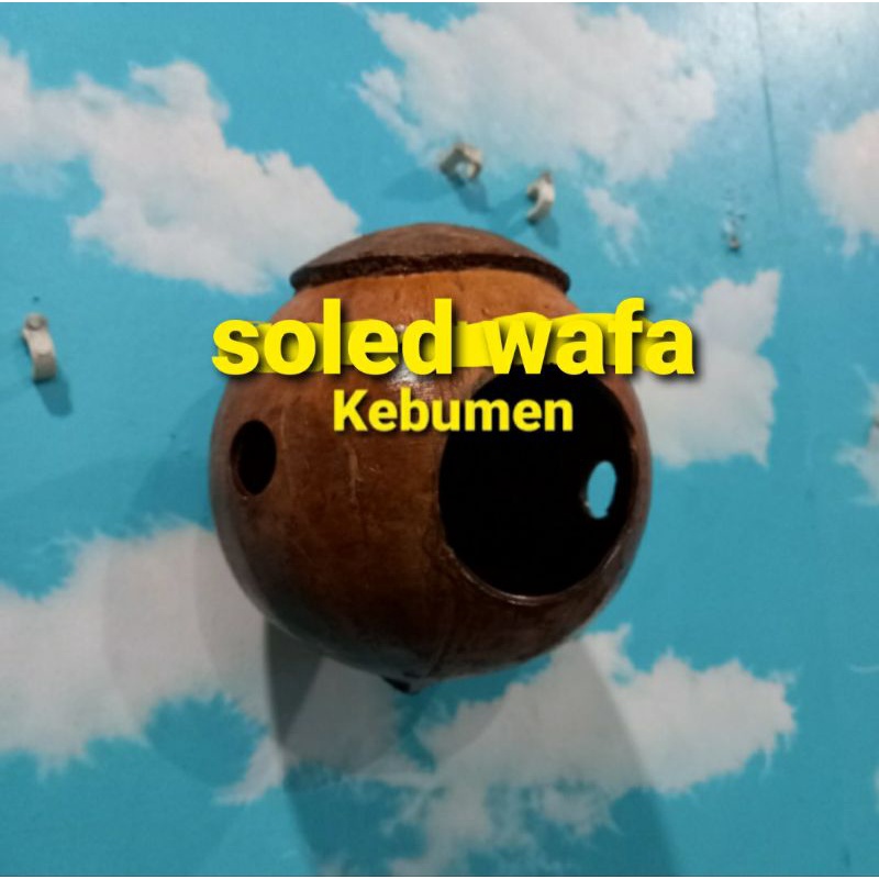 GLODOK BATOK KELAPA KANDANG BURUNG GLODOG BURUNG MURAI LOVE BIRD SARANG TELUR BATOK KELAPA