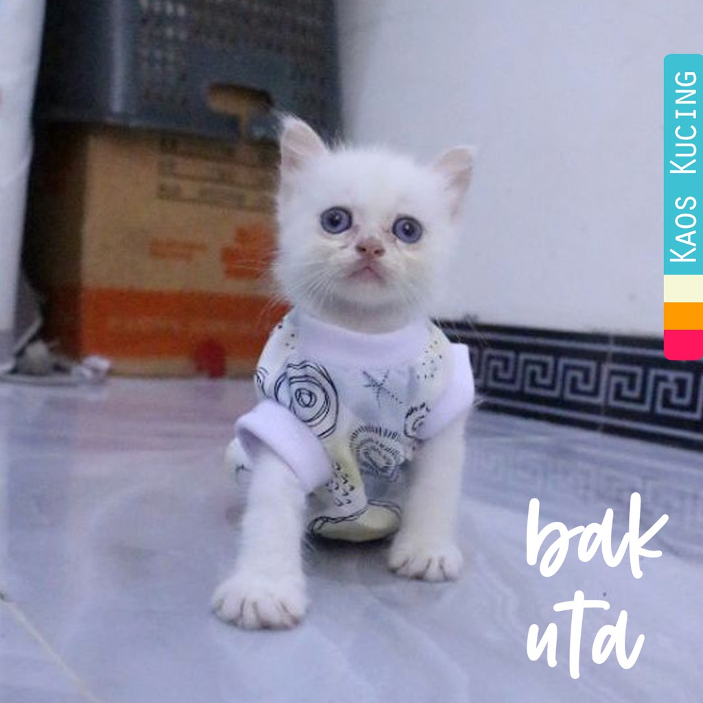 kaos rumahan motif daun abstrak lucu untuk kucing model terlengkap / baju kucing murah size S M L XL