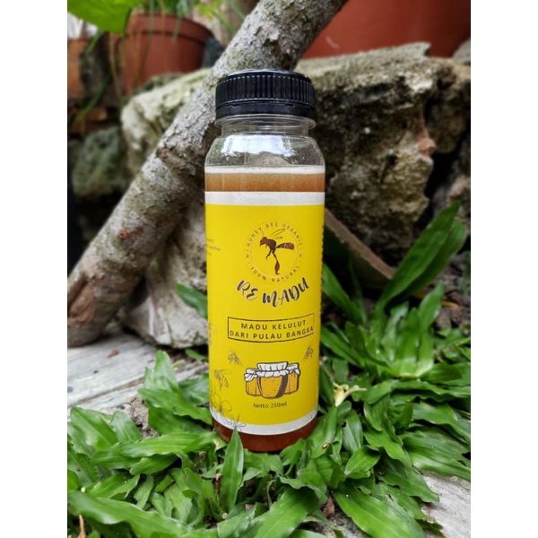

Madu klanceng / trigona / kelulut original