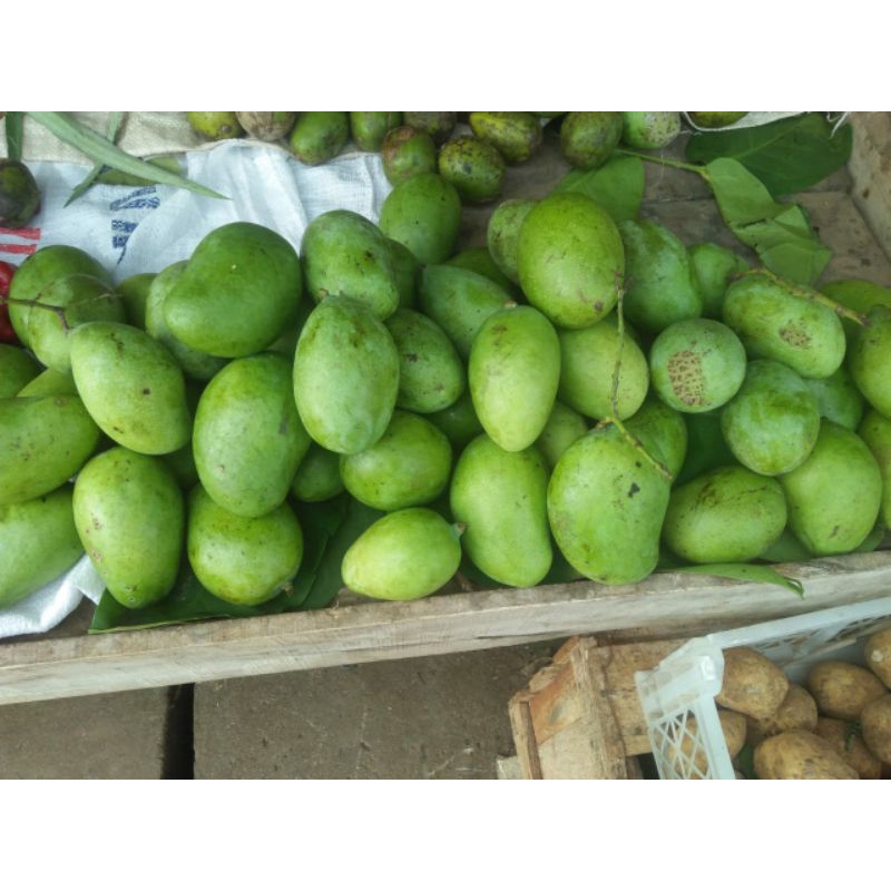 

MANGGA MUDA 1KG
