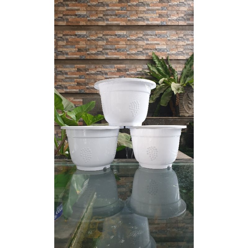 Pot Anggur Putih
