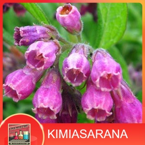 

Allantoin (Pelembab)