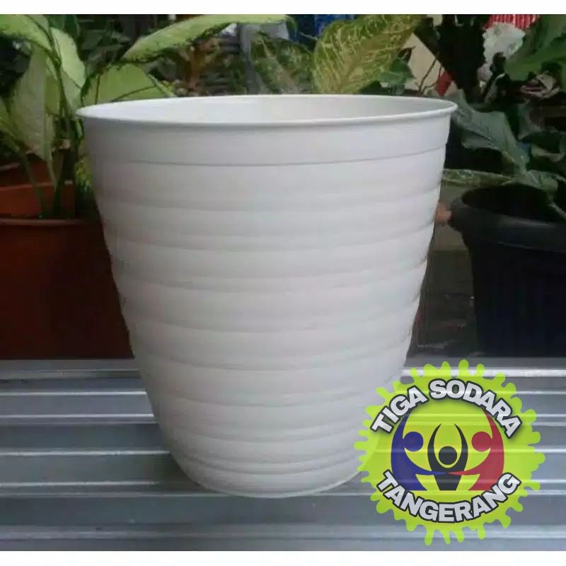 POT TAWON PIRUS 24 PUTIH /POT TAWON 241