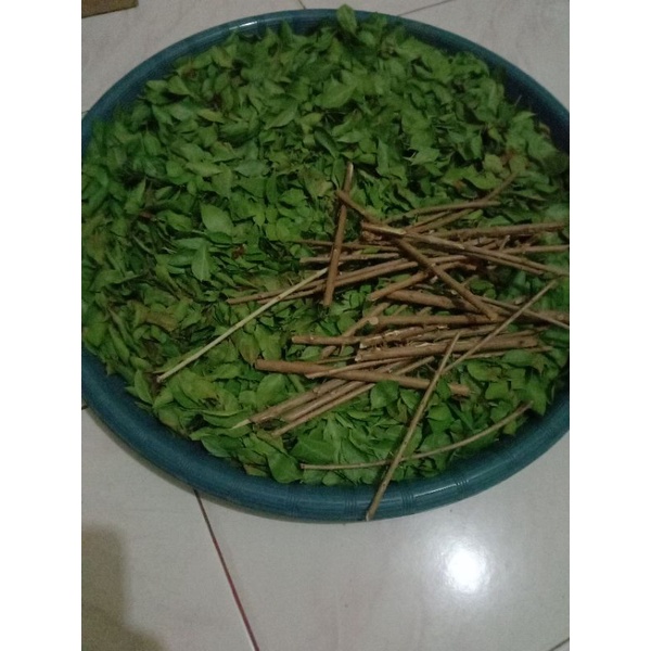 daun Inai segar/Henna