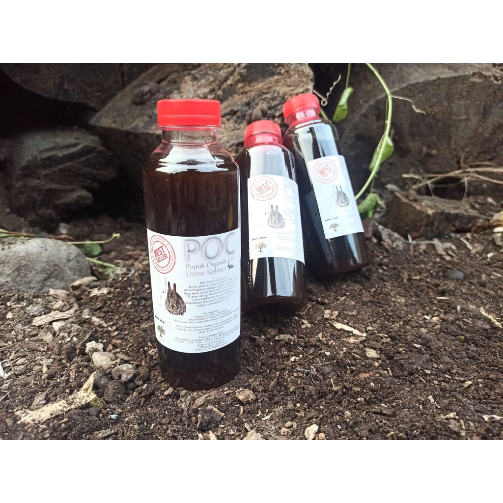 POC Urine Kelinci fermentasi