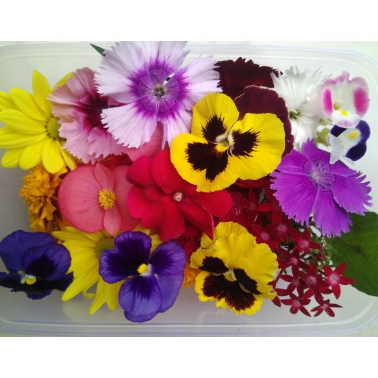 

Dijual Mix Edible Flower Original TERLARIS TERPERCAYA ORIGINAL