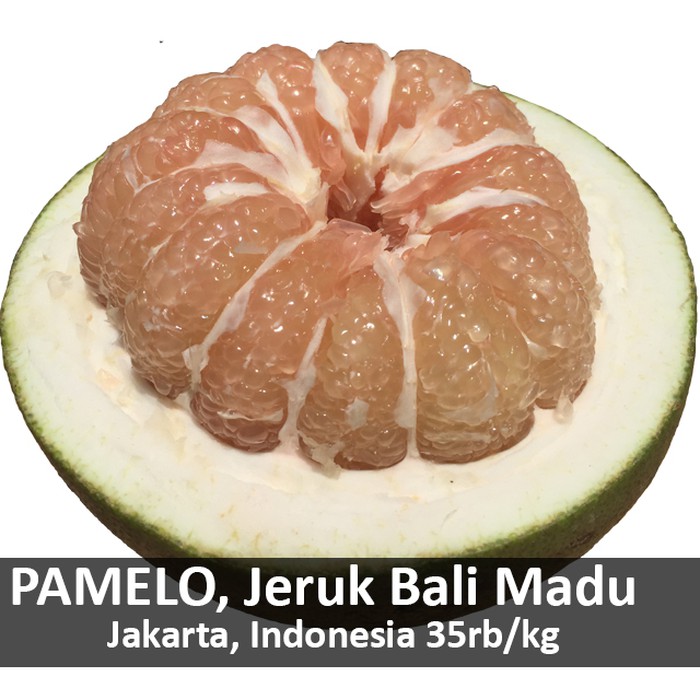 

Jeruk Bali Manis Madu- Pamelo Organik - Perbuah size S (1-1kg) - MMD2405