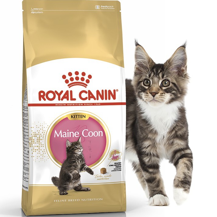 Harga Royal Canin Kitten Kg Terbaik Hobi Koleksi Agustus 2021 Shopee Indonesia