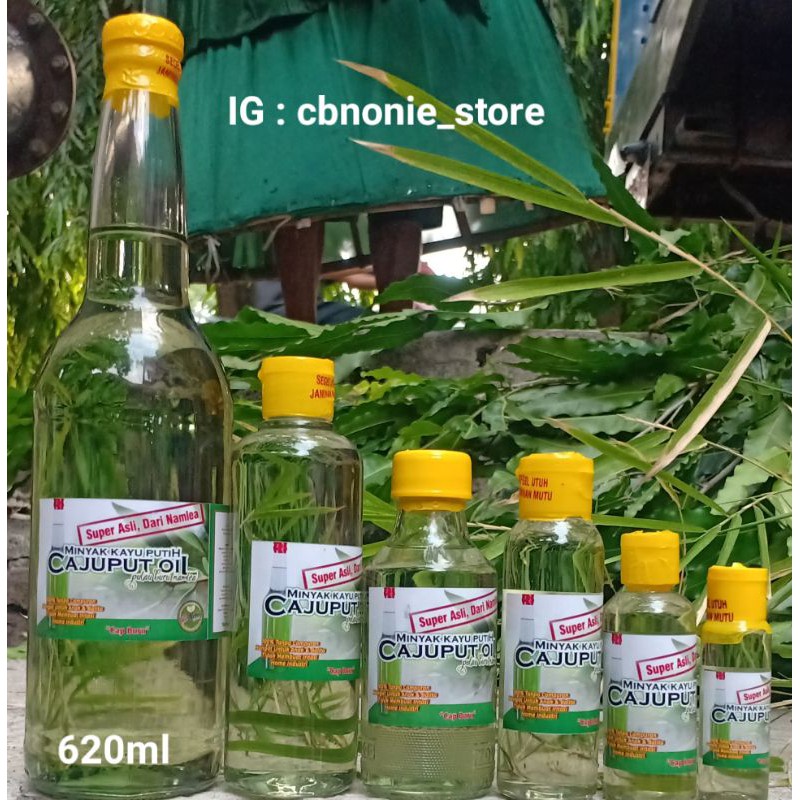 Minyak kayu putih asli pulau buru