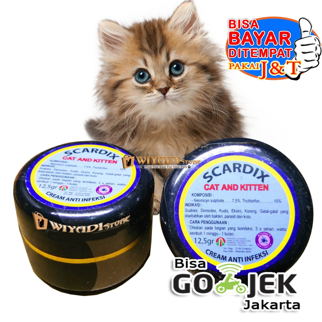 Obat Anti Infeksi luka koreng jamur gatal Kucing Scardix Cat &amp; Kitten