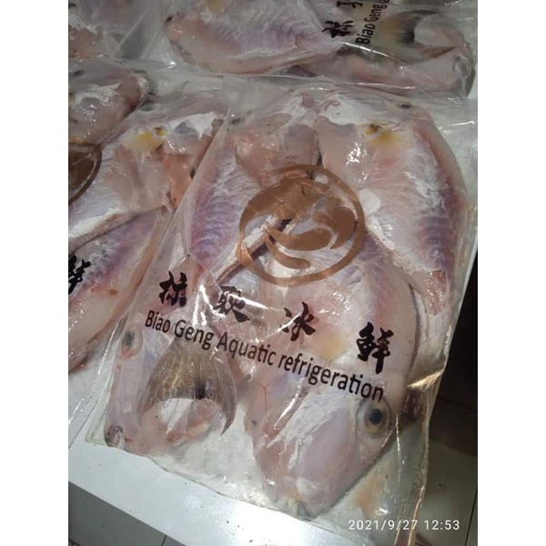 

ikan etong kupas kulit frosen