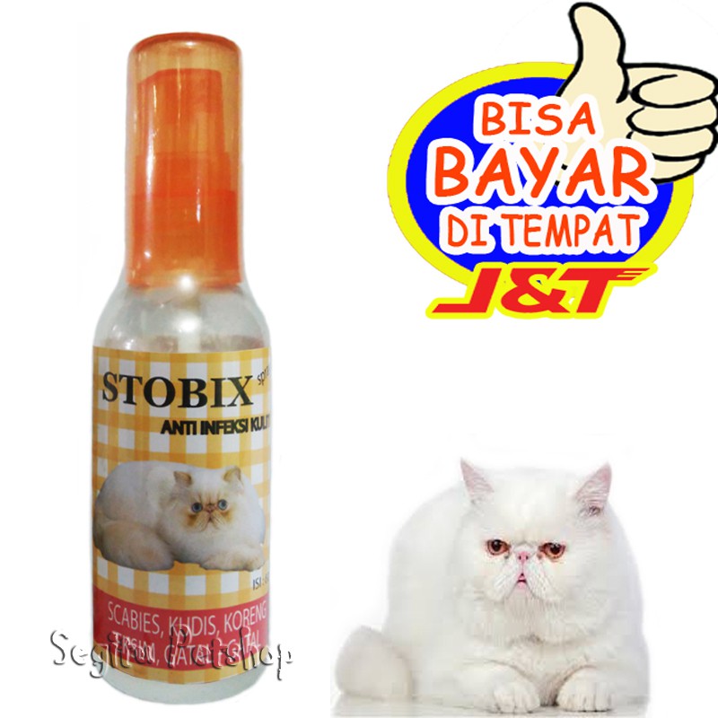 OBAT JAMUR KUCING SCABIES KORENG LUKA GATAL STOBIX
