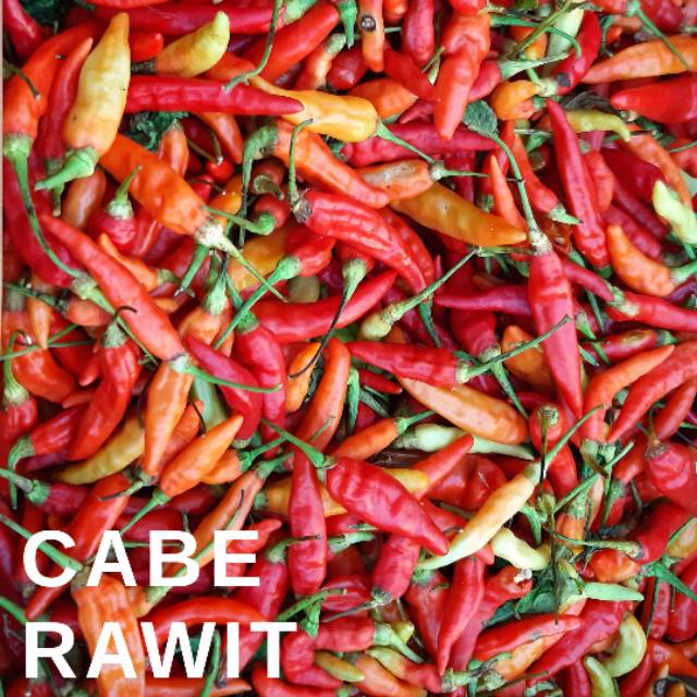 

Cabe rawit merah