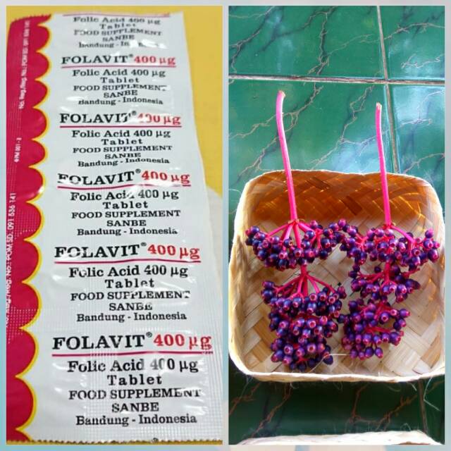 COD paket promil 1 folavit dan 2 tangkai buah parijoto untuk promil dan bumil penyubur kandungan