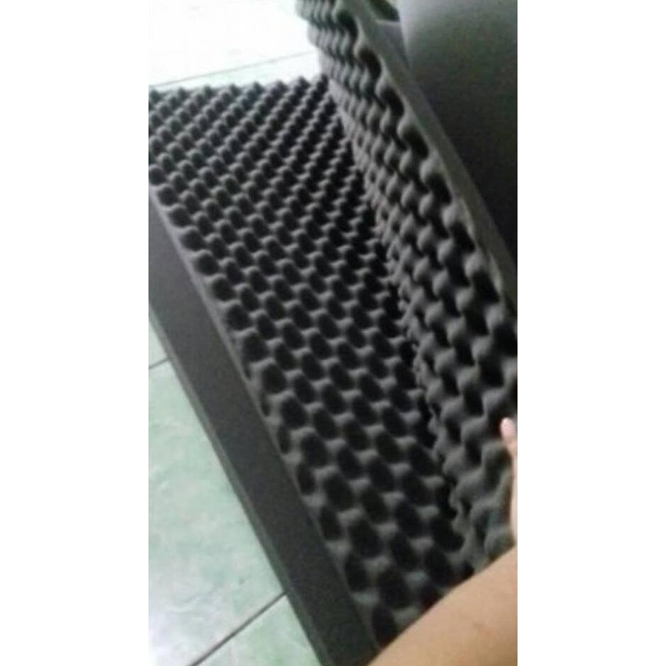 BUSA PEREDAM SUARA TELUR