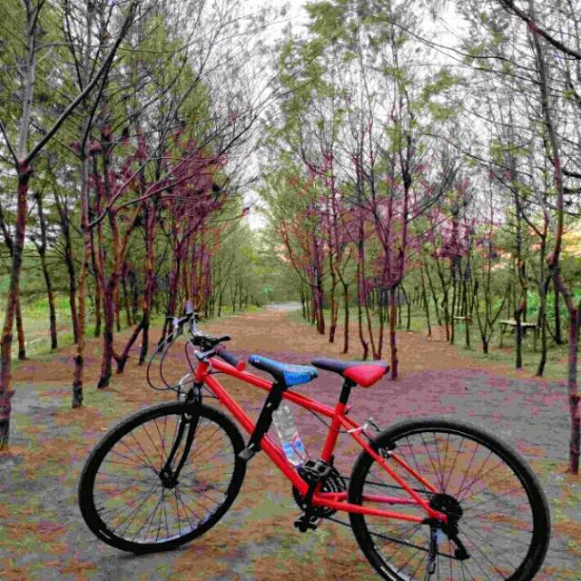 Boncengan depan sepeda MTB/gunung