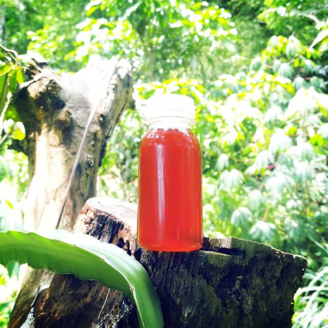 

Madu lebah liar "apisdorsata