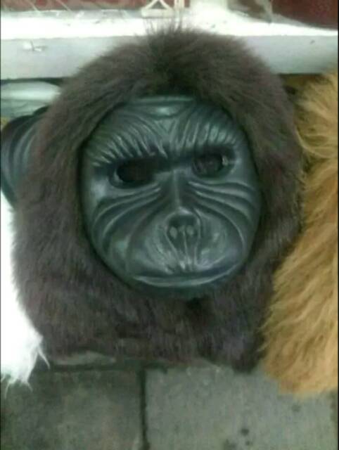 Topeng Bentuk Monyet Gorila Kingkong Warna Coklat Hitam Putih Bahan Halus Mainan Anak Shopee Indonesia