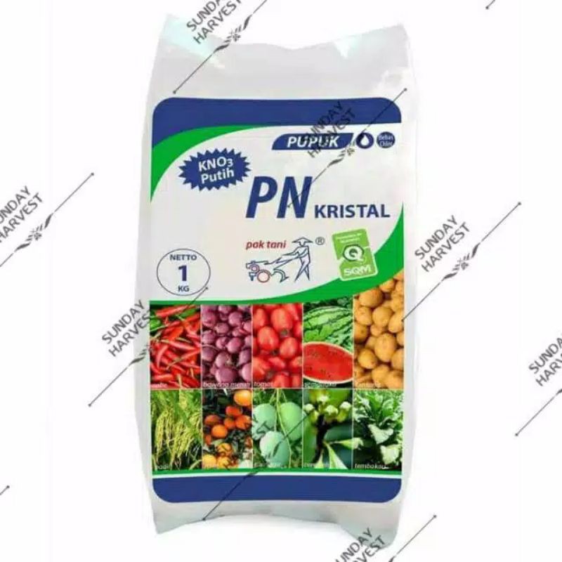 PUPUK POTASSIUM NITRAT (PN) KRISTAL (Netto 1KG)