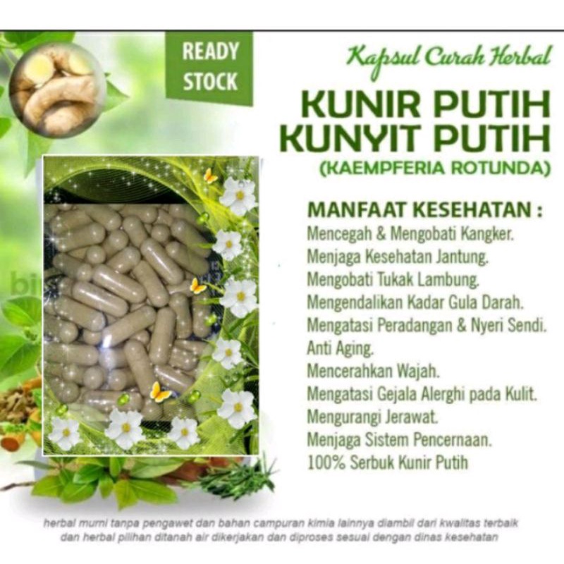 

KAPSUL KUNIR PUTIH