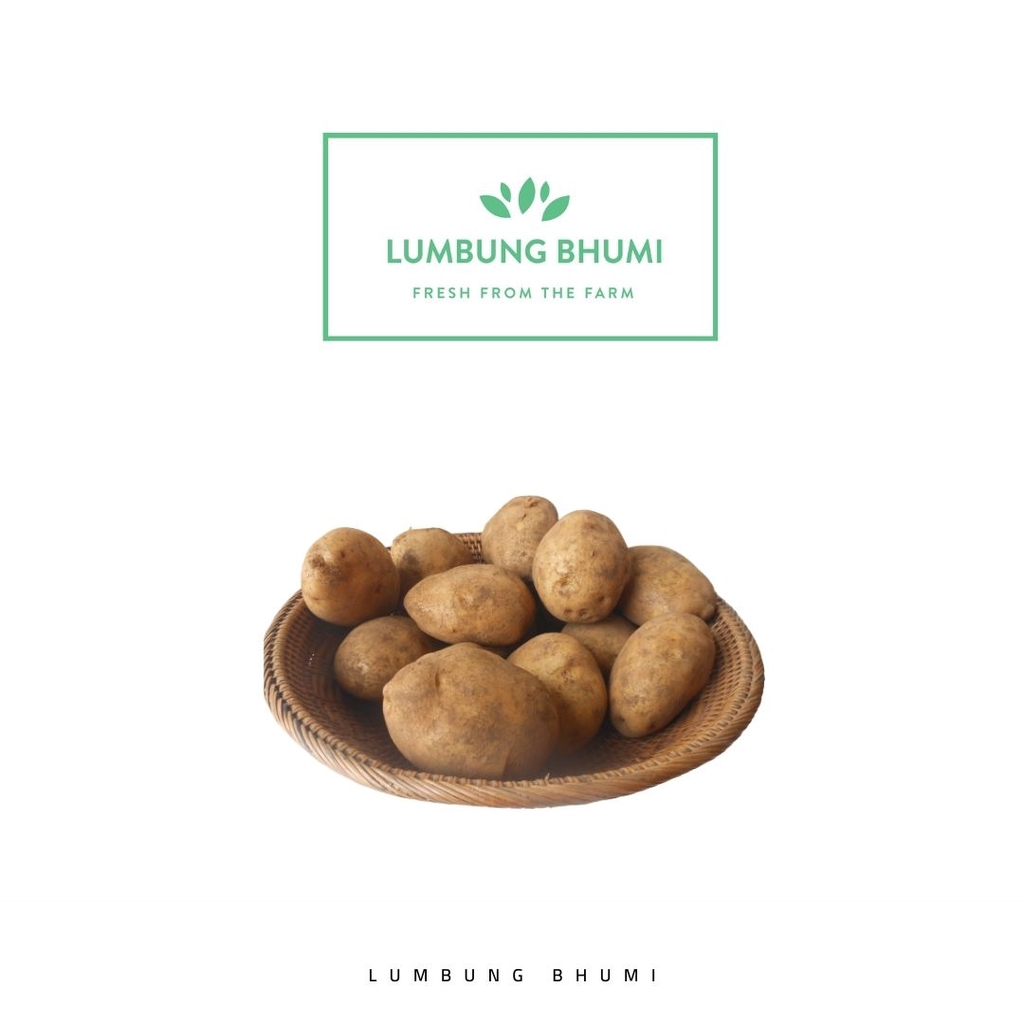 

Lumbung Bhumi - Kentang Dieng Besar 700 Gr ( Sayur Curah )